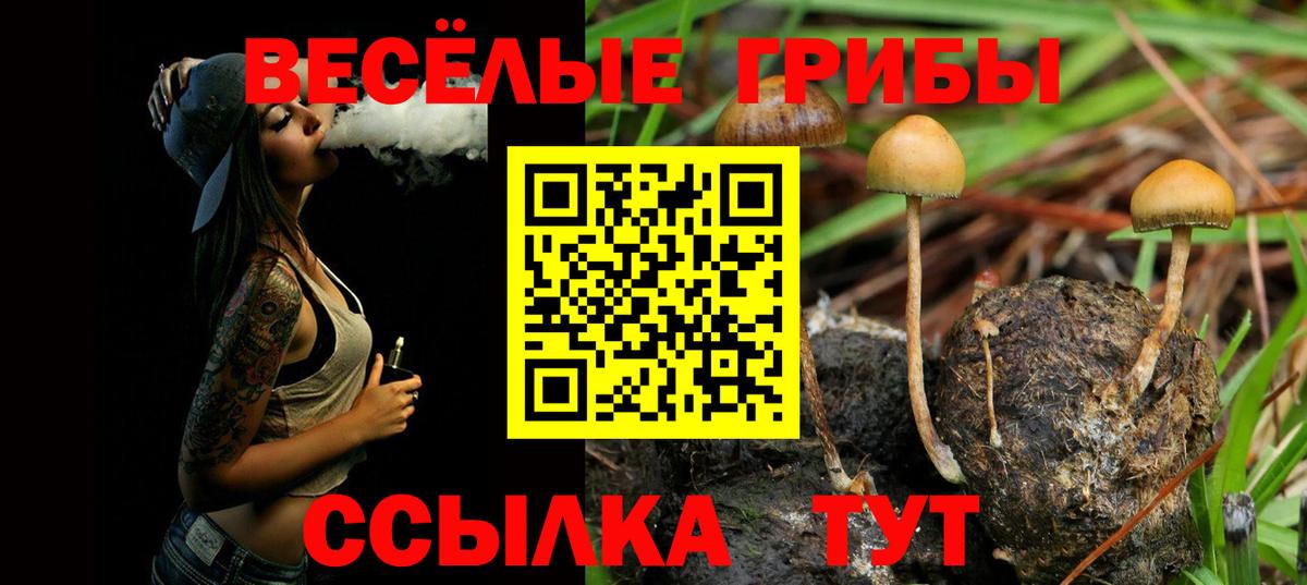Псилоцибиновые грибы Magic Shrooms  купить   Черемхово  Вход с VPN  Галлюциногенные грибы MAGIC MUSHROOMS 