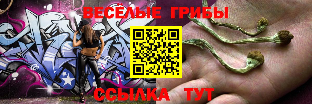 Псилоцибиновые грибы прущие грибы Черемхово